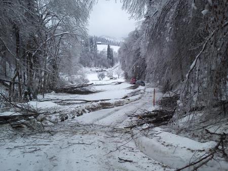vir PGD Polhov Gradec 3